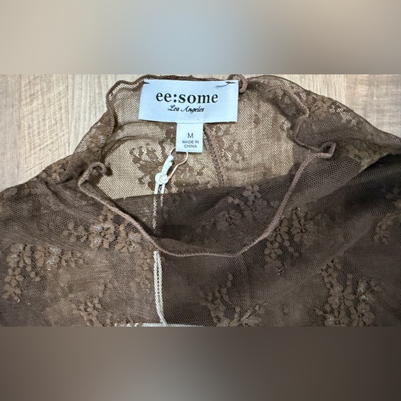 Eesome Sheer Brown Lace Long Sleeve Blouse - Picture 2 of 3